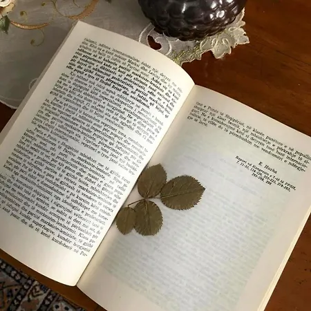 Pensionat Communist Style 3*