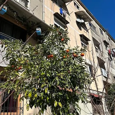 Guest house Communist Style Shkoder